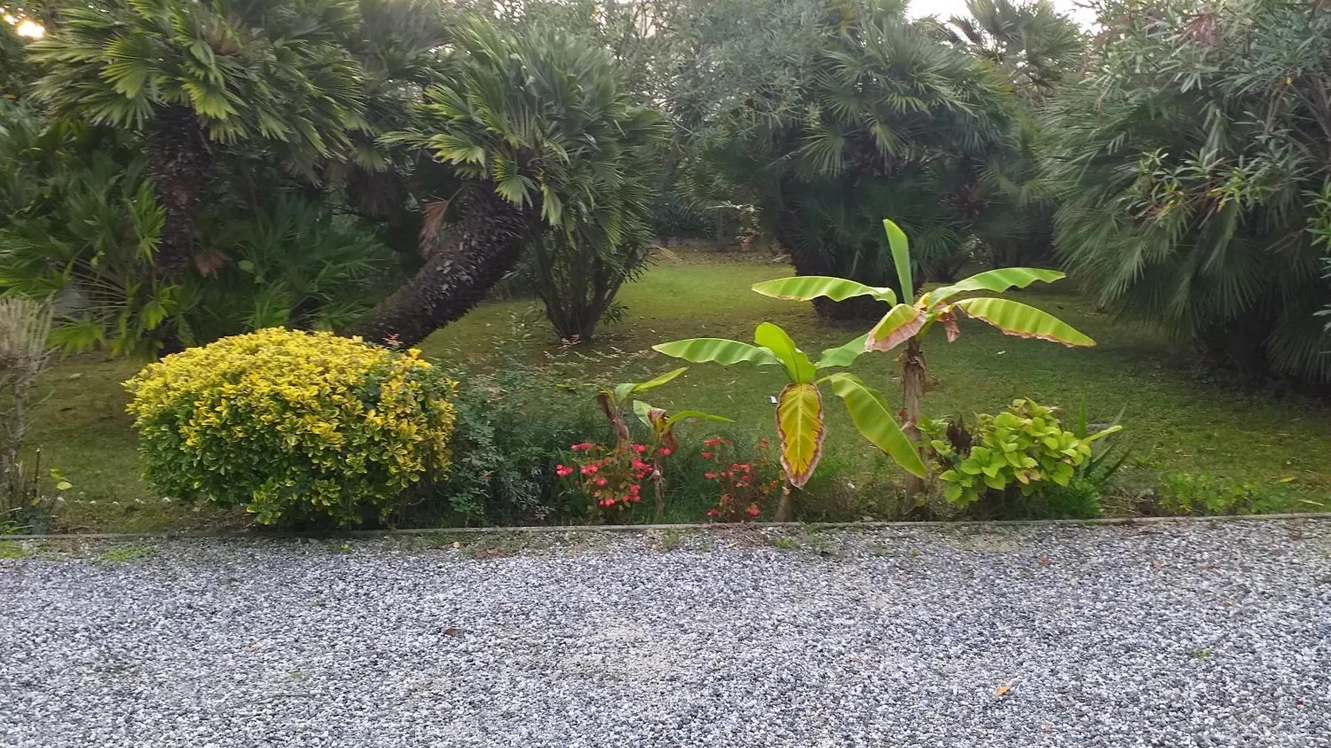 Casa Miglio Villa Marina di Pietrasanta Italy